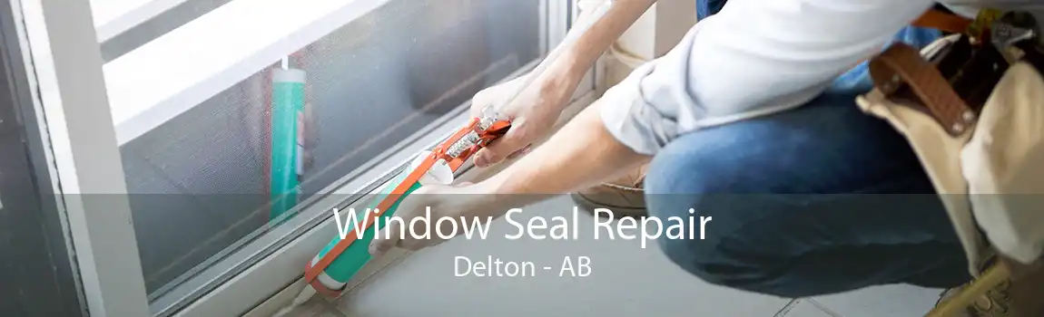 Window Seal Repair Delton - AB