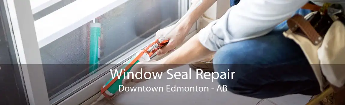 Window Seal Repair Downtown Edmonton - AB