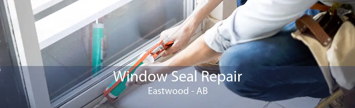 Window Seal Repair Eastwood - AB