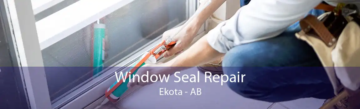 Window Seal Repair Ekota - AB