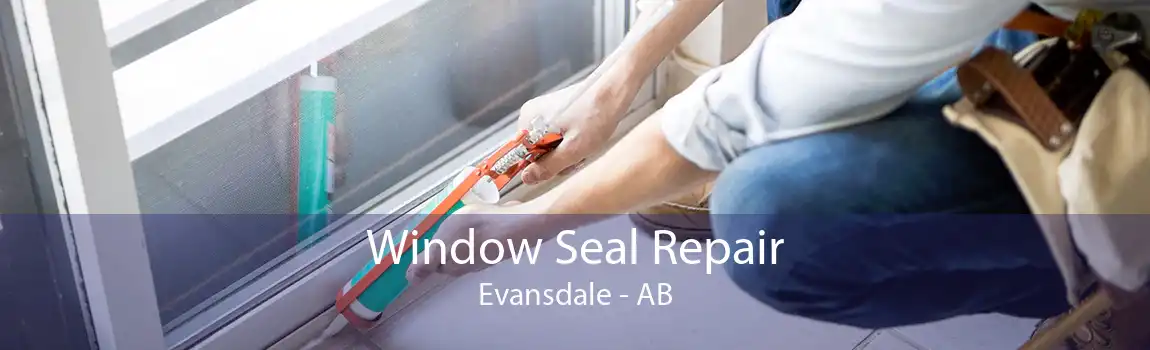 Window Seal Repair Evansdale - AB