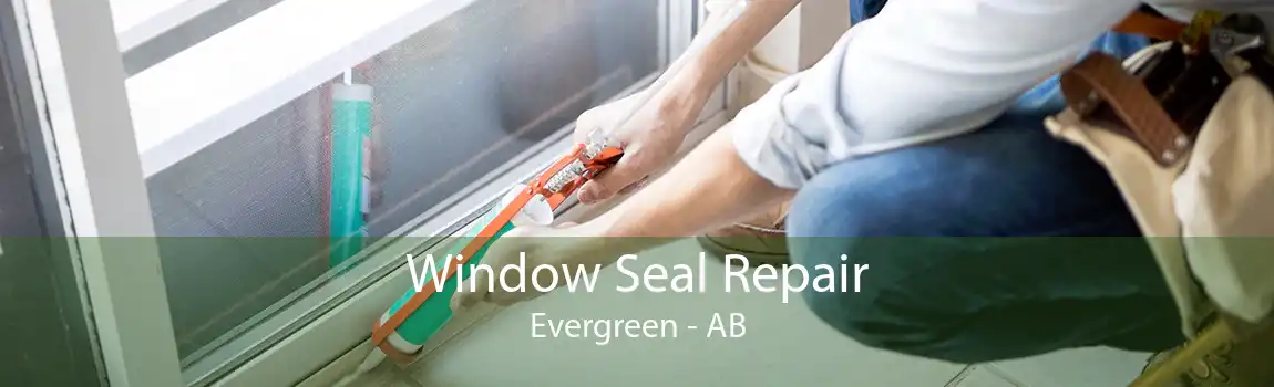 Window Seal Repair Evergreen - AB