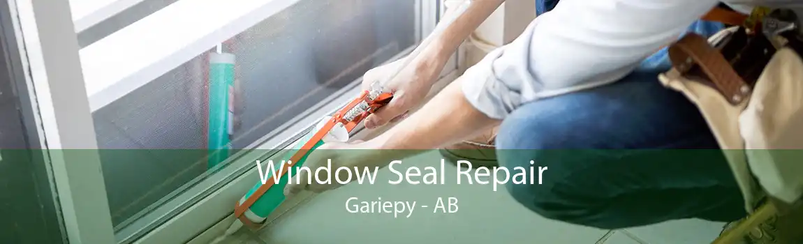 Window Seal Repair Gariepy - AB