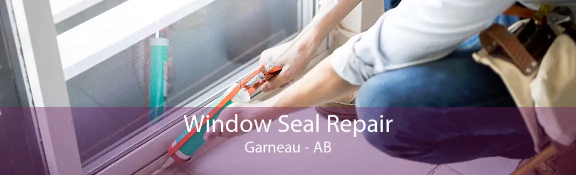 Window Seal Repair Garneau - AB