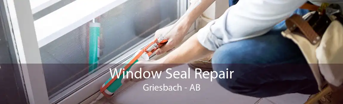 Window Seal Repair Griesbach - AB