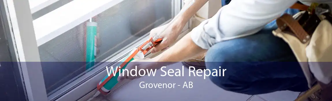 Window Seal Repair Grovenor - AB