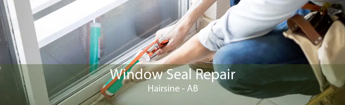 Window Seal Repair Hairsine - AB