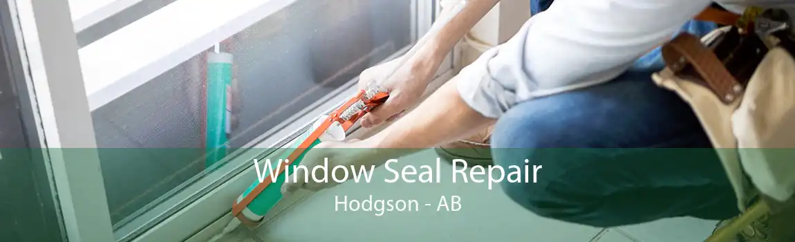 Window Seal Repair Hodgson - AB