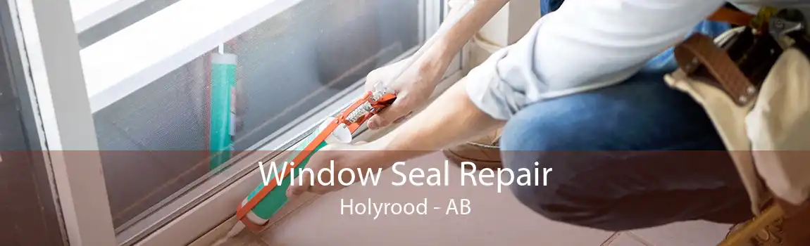 Window Seal Repair Holyrood - AB