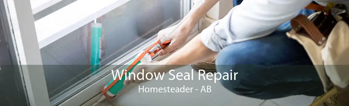 Window Seal Repair Homesteader - AB