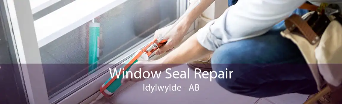 Window Seal Repair Idylwylde - AB