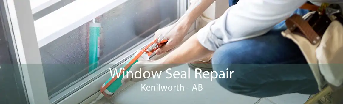 Window Seal Repair Kenilworth - AB