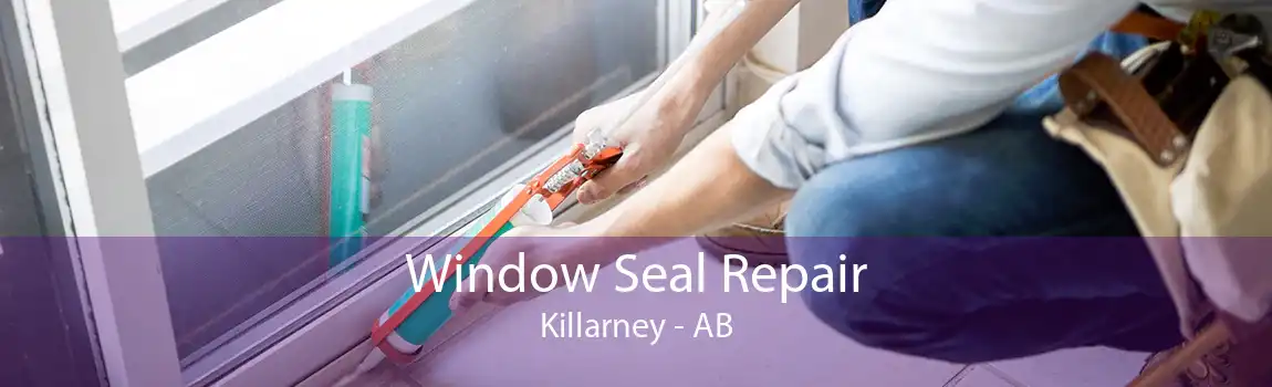 Window Seal Repair Killarney - AB