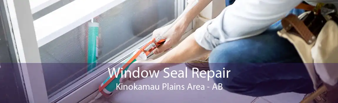 Window Seal Repair Kinokamau Plains Area - AB