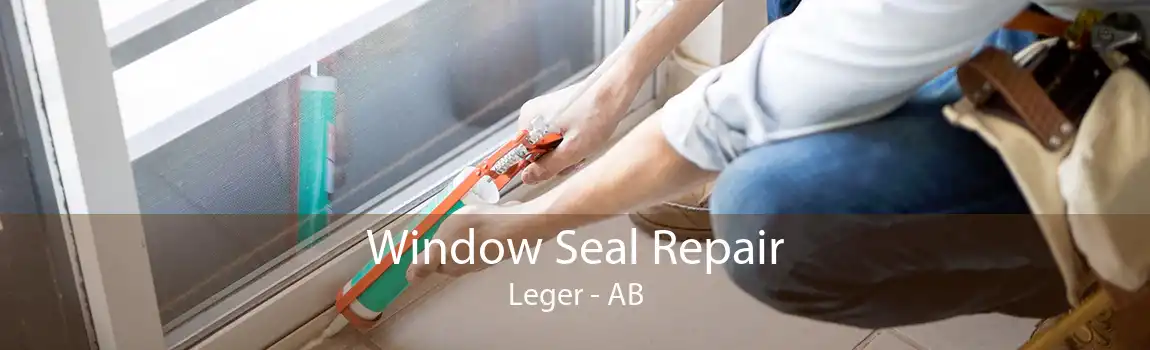 Window Seal Repair Leger - AB