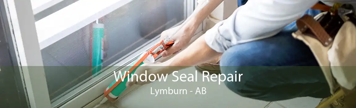 Window Seal Repair Lymburn - AB