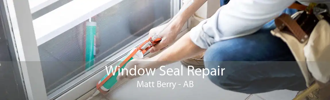 Window Seal Repair Matt Berry - AB