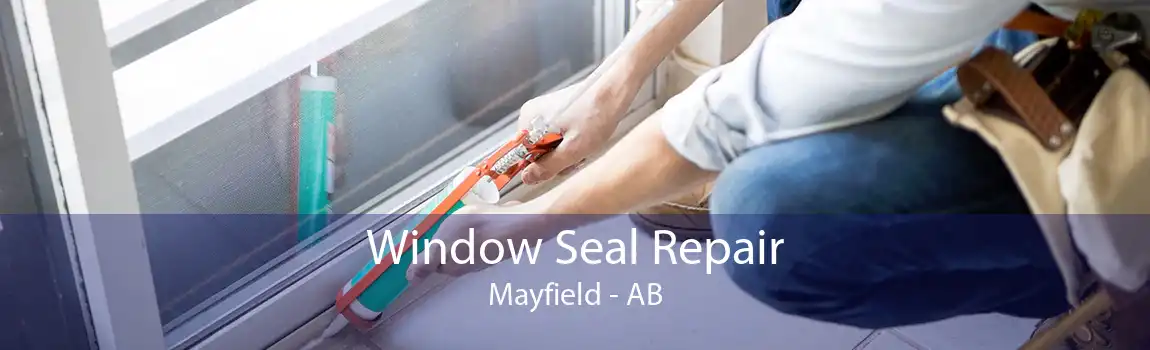 Window Seal Repair Mayfield - AB