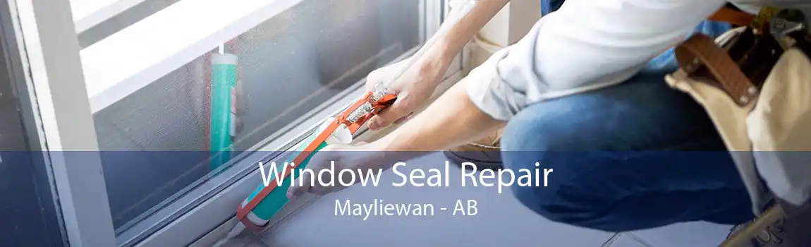 Window Seal Repair Mayliewan - AB