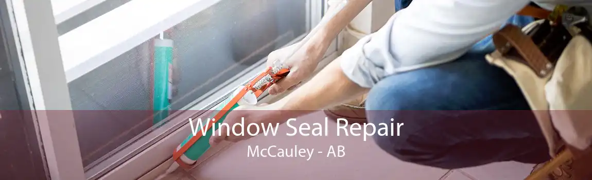 Window Seal Repair McCauley - AB