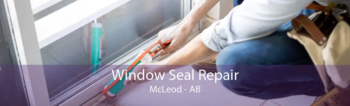 Window Seal Repair McLeod - AB