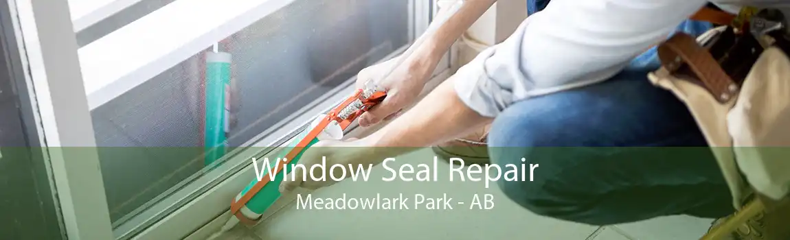 Window Seal Repair Meadowlark Park - AB