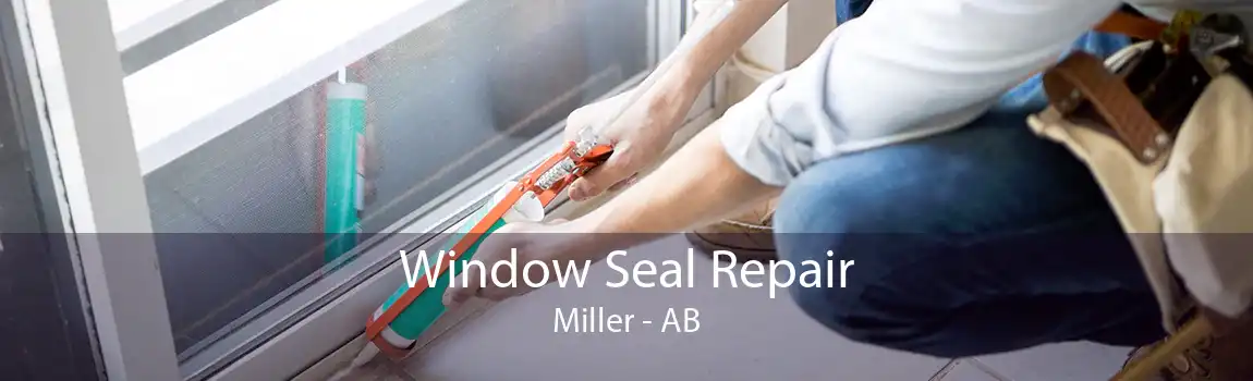 Window Seal Repair Miller - AB