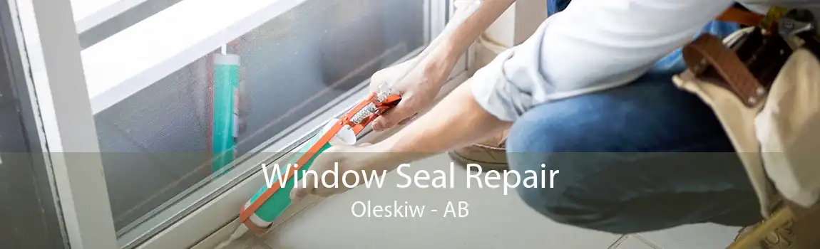 Window Seal Repair Oleskiw - AB