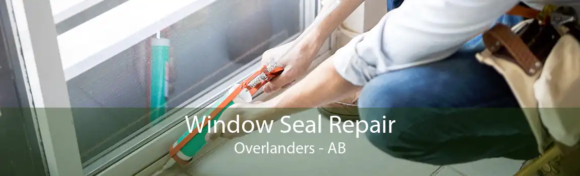 Window Seal Repair Overlanders - AB