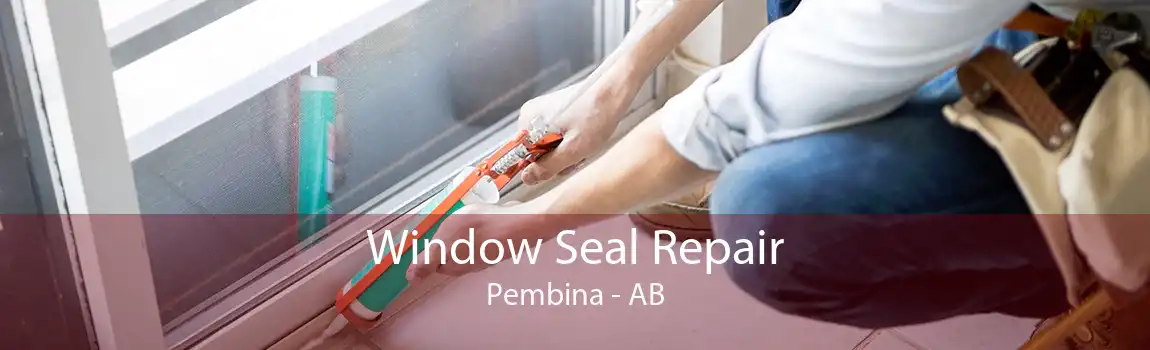 Window Seal Repair Pembina - AB