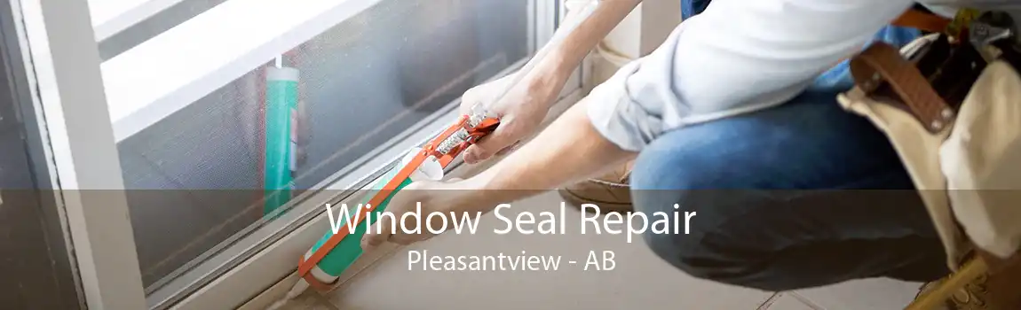 Window Seal Repair Pleasantview - AB