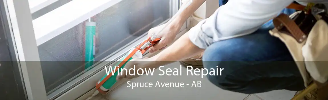 Window Seal Repair Spruce Avenue - AB