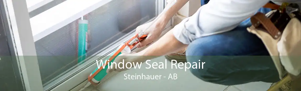 Window Seal Repair Steinhauer - AB