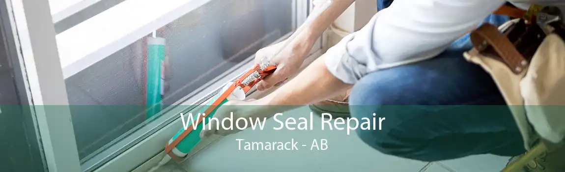 Window Seal Repair Tamarack - AB