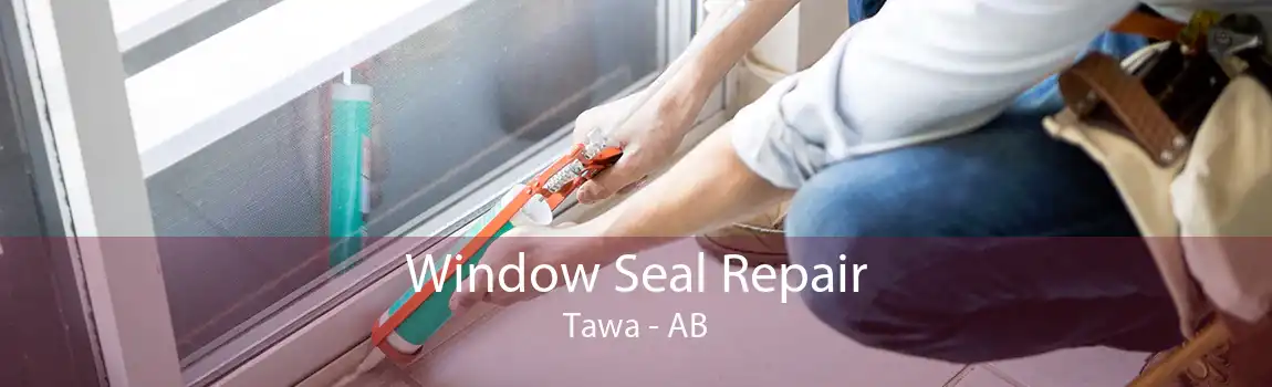 Window Seal Repair Tawa - AB