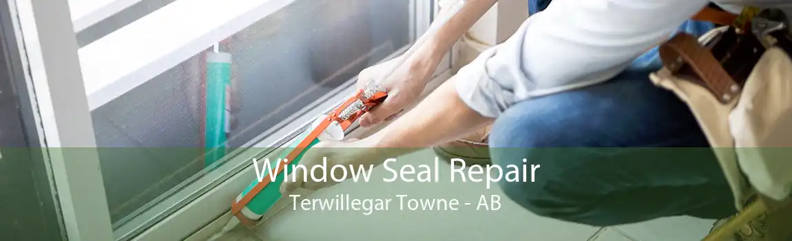 Window Seal Repair Terwillegar Towne - AB