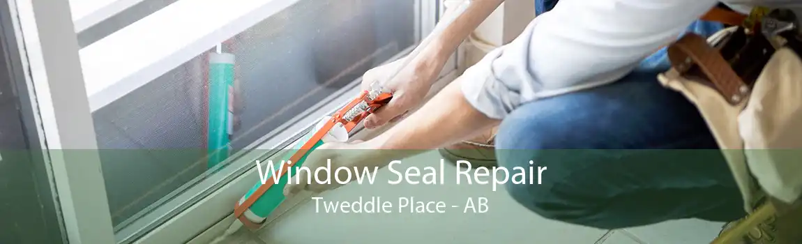 Window Seal Repair Tweddle Place - AB