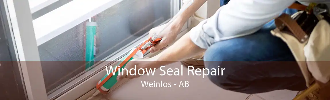 Window Seal Repair Weinlos - AB