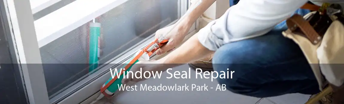 Window Seal Repair West Meadowlark Park - AB